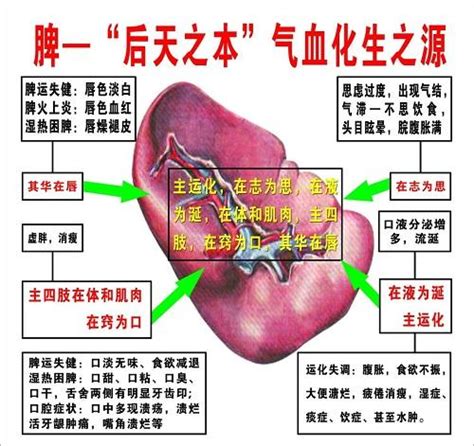 後天是什麼意思